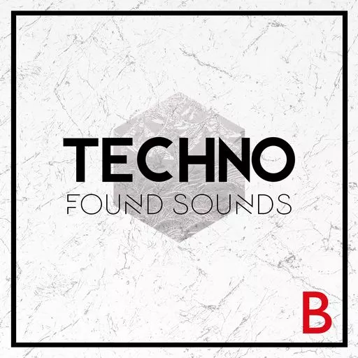 Whitenoise Records Techno Found Sounds B WAV