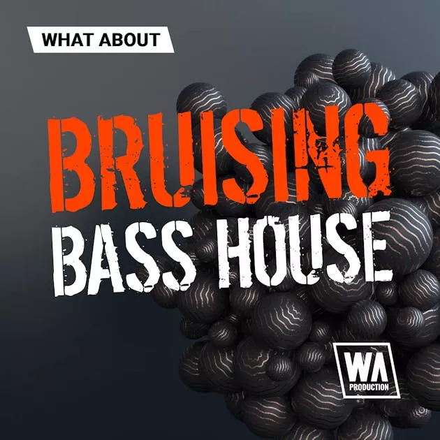 Bruising Bass House 