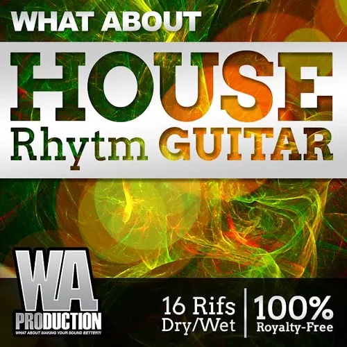 House Rhytm Guitar