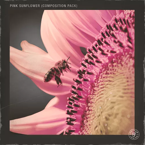 Pelham Junior Pink Sunflower Vol_1 (Compositions Stems) WAV