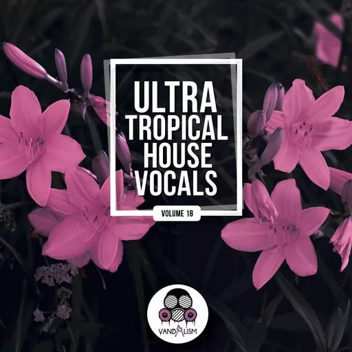 Ultra Tropical House Vocals 18 WAV