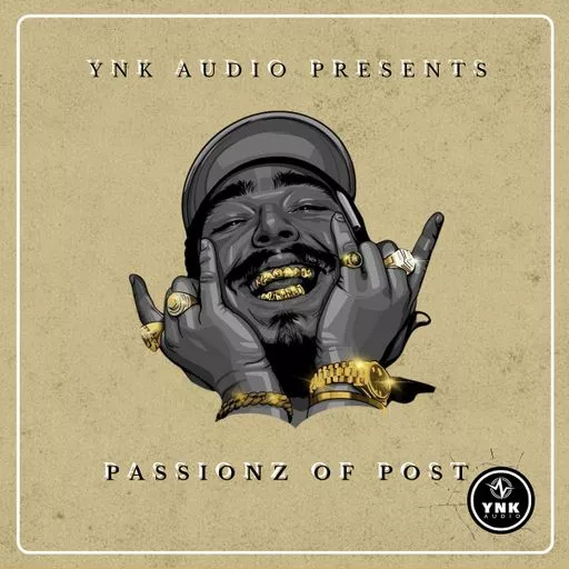 YnK Audio Passionz Of Post WAV