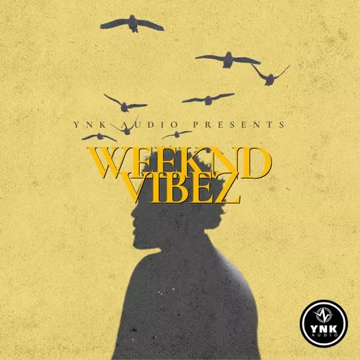 YnK Audio Weeknd Vibez: The Weeknd Type Loops WAV