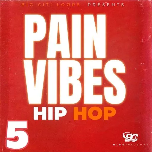 Big Citi Loops Pain Vibes Hip Hop 5 WAV