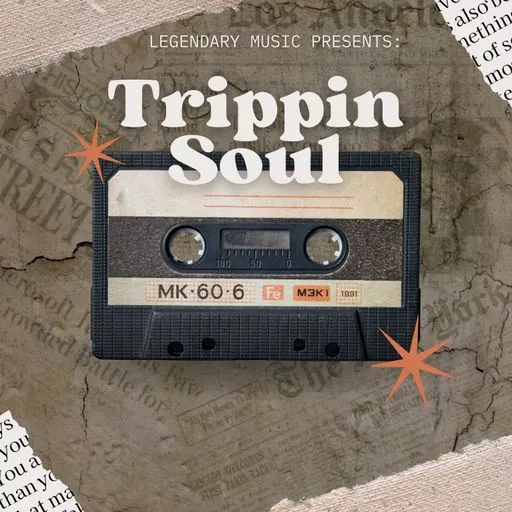 Blissful Audio Trippin Soul WAV