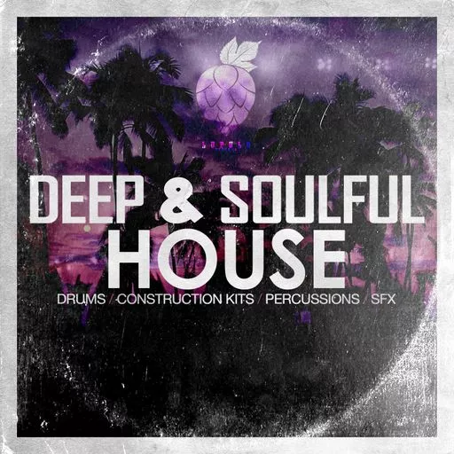 Dirty Music Deep & Soulful House WAV
