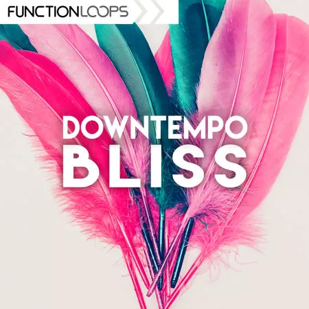 Function Loops Downtempo Bliss WAV