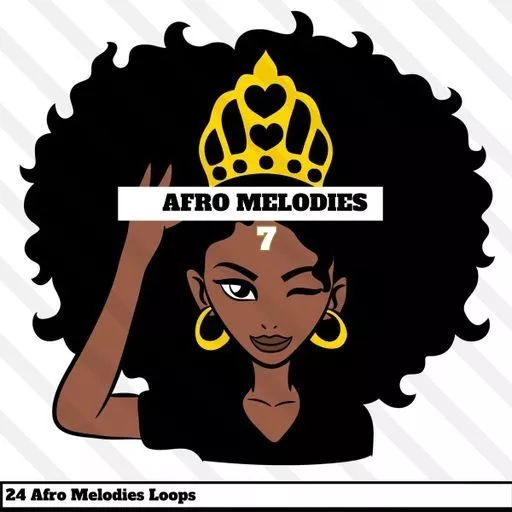 HOOKSHOW Afro Melodies 7 WAV