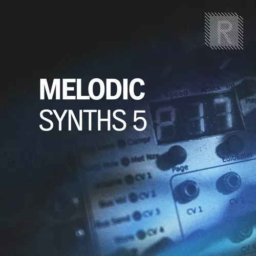 Riemann Melodic Synths 5 WAV